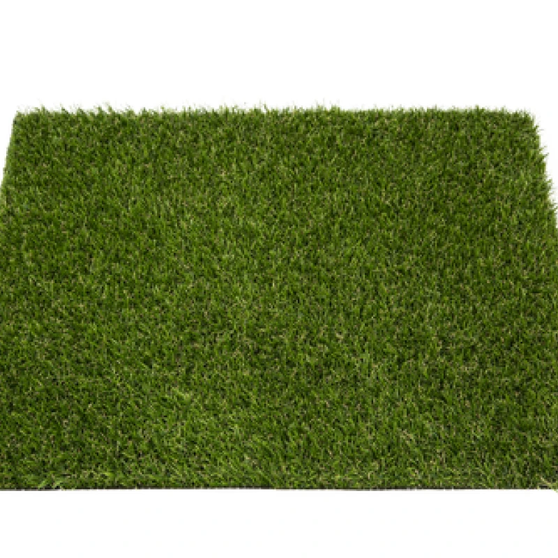 Mona Verdite Monobacking photo2